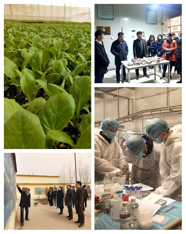 yp�ֻ���������Ϸ(�й�)�ٷ���վ