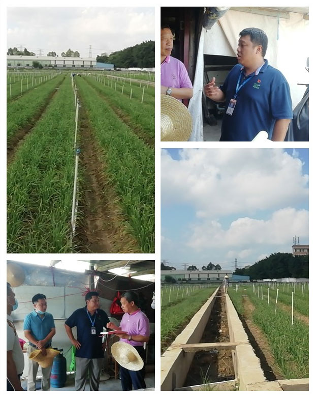 yp�ֻ���������Ϸ(�й�)�ٷ���վ