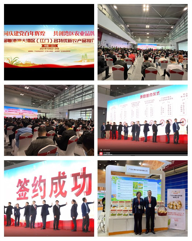 yp�ֻ���������Ϸ(�й�)�ٷ���վ