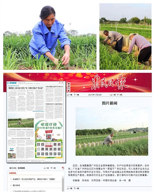 yp�ֻ���������Ϸ(�й�)�ٷ���վ