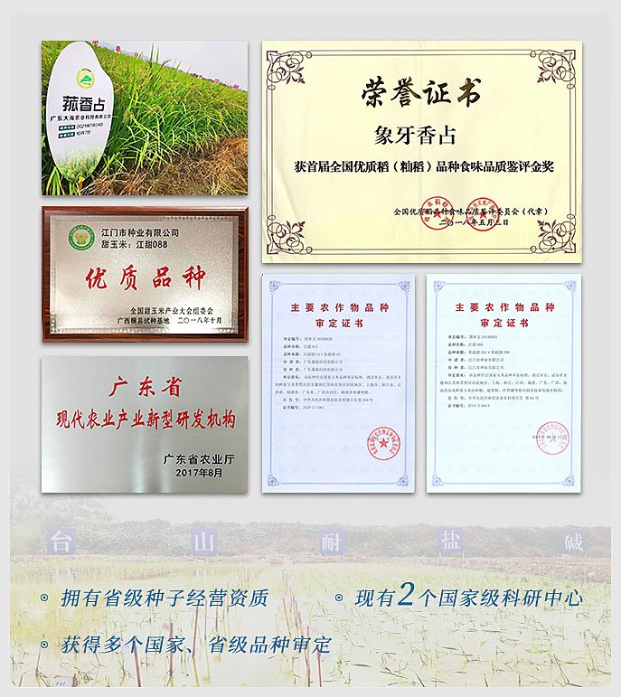 yp�ֻ���������Ϸ(�й�)�ٷ���վ