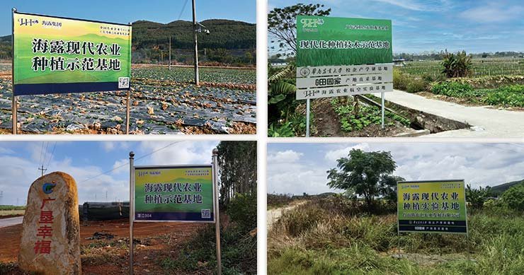 yp�ֻ���������Ϸ(�й�)�ٷ���վ