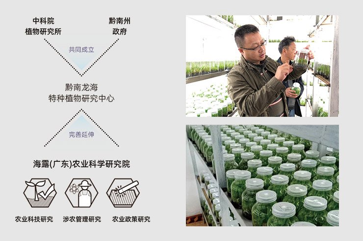 yp�ֻ���������Ϸ(�й�)�ٷ���վ