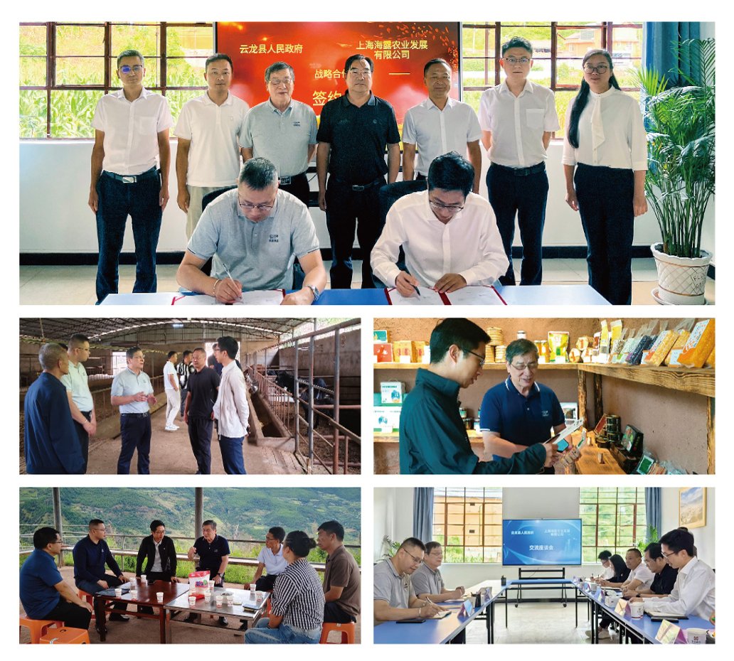 yp�ֻ���������Ϸ(�й�)�ٷ���վ