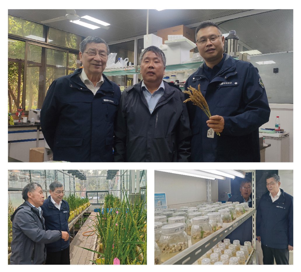 yp�ֻ���������Ϸ(�й�)�ٷ���վ