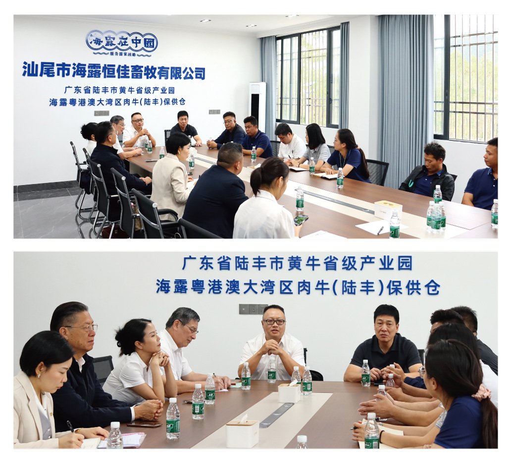 yp�ֻ���������Ϸ(�й�)�ٷ���վ